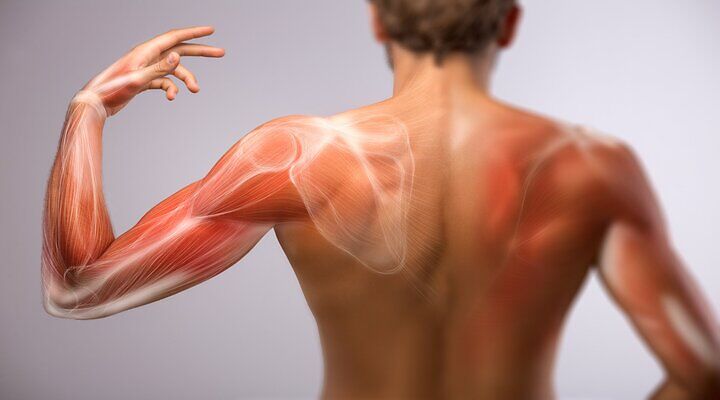 bol u lijevom ramenskom zglobu ruke kako brzo ublažiti bolove u mišićima u zglobovima
