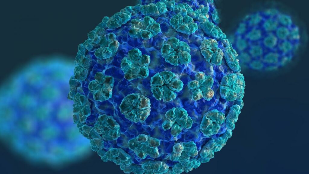 HPV virus