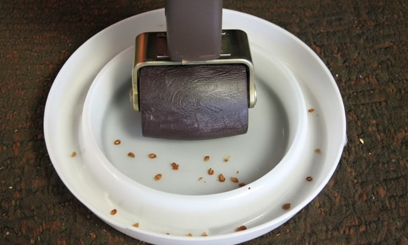 Bela plastična posuda ispod nožice od kreveta, služi kao zamka za stenice